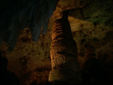 Into the Belly of the Whale