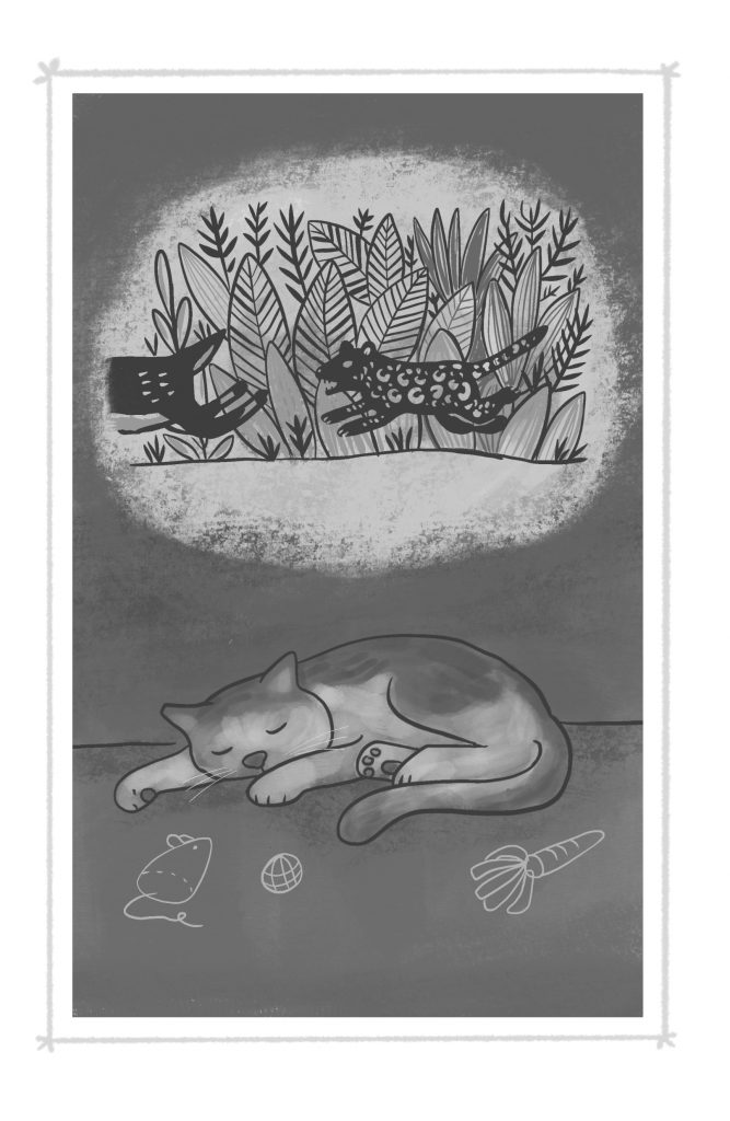 Gabriel the cat dreams of being a jaguar